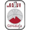 https://img.ebuyasia.com/img/basketball/team/4b06fe02aaa7da5901e5698485059da0.png