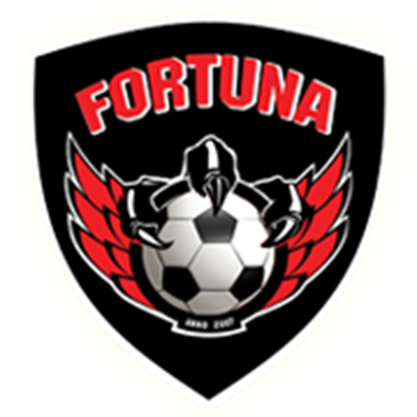 https://img.ebuyasia.com/img/football/team/2d749c6346d1955117568c0370cf8b23.png