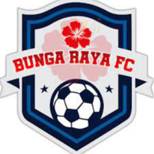 https://img.ebuyasia.com/img/football/team/e460797e0100d3920b39eab1392085e6.png